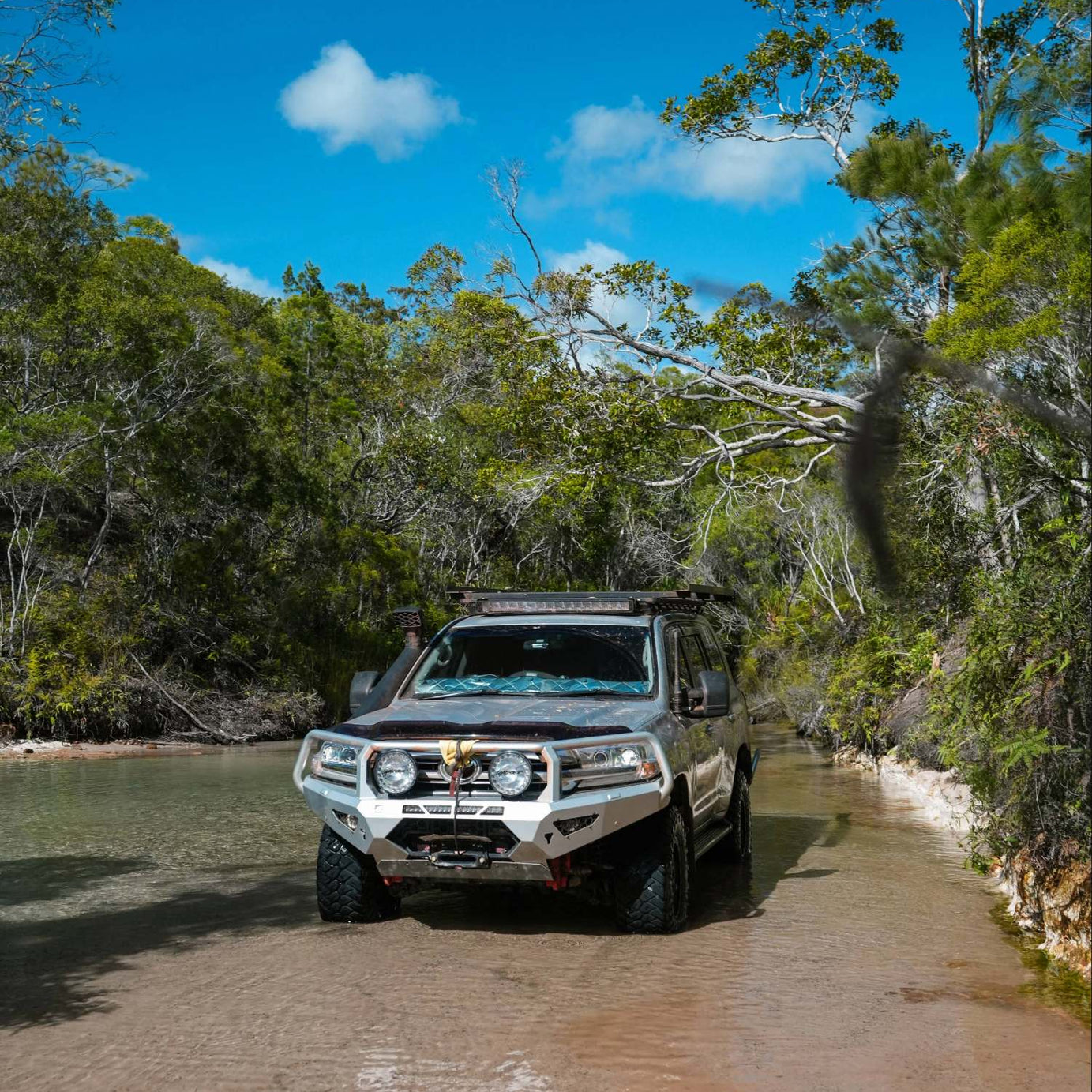 Bush Optics Dash Shade