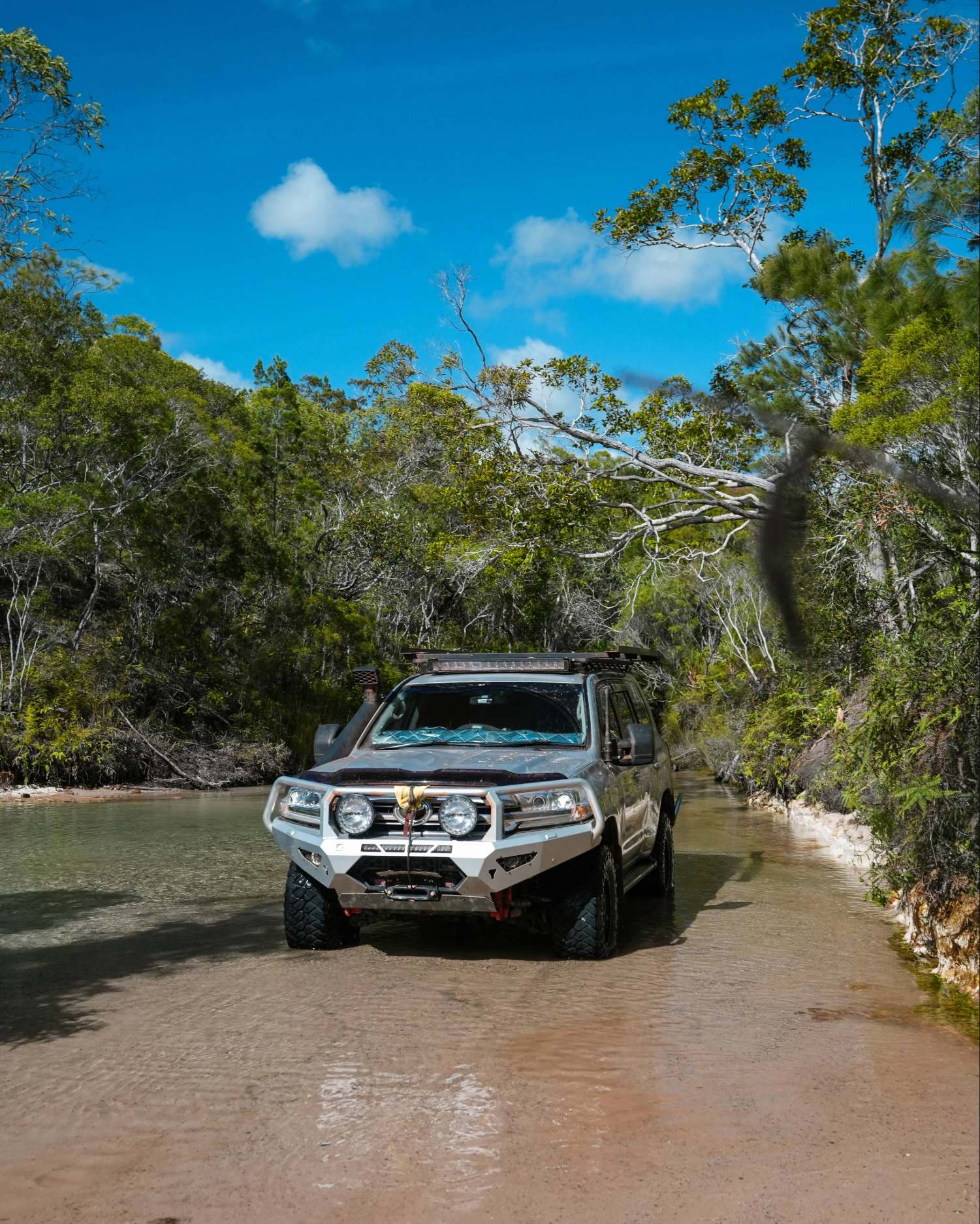 Bush Optics Dash Shade