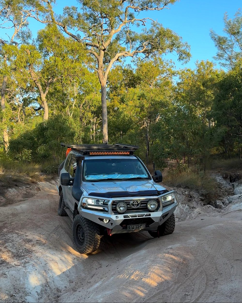 Bush Optics Dash Shade